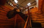 Туры в отель «Зюйд-Вест» база отдыха