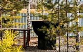 Туры в отель «Дельфин Хаус» гостевой дом