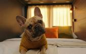 Туры в отель «Vazuza Love» \/ «Вазуза Лав» парк-отель
