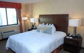 Туры в отель Hilton Garden Inn Chelsea