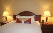 Туры в отель Hilton Garden Inn Chicago Downtown / Magnificent Mile