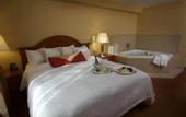 Туры в отель Hilton Garden Inn Chicago Downtown / Magnificent Mile