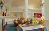 Туры в отель Hilton Garden Inn Houston/Bush Intercontinental Airport