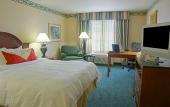 Туры в отель Hilton Garden Inn Houston/Bush Intercontinental Airport