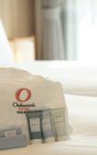 Туры в отель Oakwood Hotel Oike Kyoto
