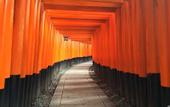 Туры в отель Wander Kyoto Nanajo