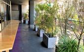 Туры в отель HOTEL TAVINOS Kyoto