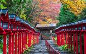 Туры в отель JR WEST GROUP VIA INN PRIME KYOTOEKI HACHIJOGUCHI