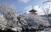 Туры в отель JR WEST GROUP VIA INN PRIME KYOTOEKI HACHIJOGUCHI