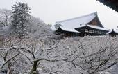 Туры в отель JR WEST GROUP VIA INN PRIME KYOTOEKI HACHIJOGUCHI
