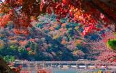 Туры в отель JR WEST GROUP VIA INN PRIME KYOTOEKI HACHIJOGUCHI