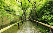 Туры в отель JR WEST GROUP VIA INN PRIME KYOTOEKI HACHIJOGUCHI