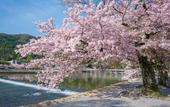 Туры в отель JR WEST GROUP VIA INN PRIME KYOTOEKI HACHIJOGUCHI