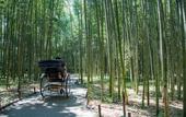 Туры в отель JR WEST GROUP VIA INN PRIME KYOTOEKI HACHIJOGUCHI