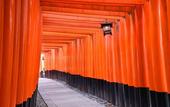 Туры в отель JR WEST GROUP VIA INN PRIME KYOTOEKI HACHIJOGUCHI
