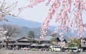 Туры в отель JR WEST GROUP VIA INN PRIME KYOTOEKI HACHIJOGUCHI