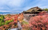 Туры в отель JR WEST GROUP VIA INN PRIME KYOTOEKI HACHIJOGUCHI