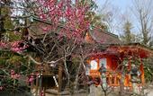 Туры в отель JR WEST GROUP VIA INN PRIME KYOTOEKI HACHIJOGUCHI