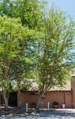 Туры в отель Protea Hotel by Marriott Oudtshoorn Riempie Estate