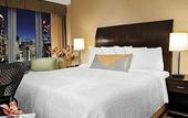 Туры в отель Hilton Garden Inn West 35th Street