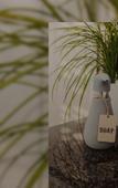 Туры в отель Aqua Marina Guest House