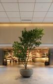 Туры в отель Good Nature Hotel Kyoto