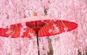 Туры в отель Comfort Hotel Kyoto Horikawagojo