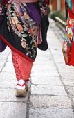 Туры в отель Comfort Hotel Kyoto Horikawagojo
