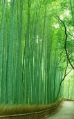 Туры в отель Comfort Hotel Kyoto Horikawagojo