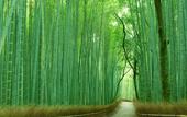 Туры в отель Comfort Hotel Kyoto Horikawagojo