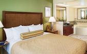 Туры в отель Hilton Grand Vacations Suites at the Flamingo