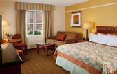 Туры в отель Hilton Grand Vacations Suites at the Flamingo