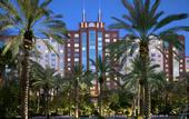 Туры в отель Hilton Grand Vacations Suites at the Flamingo