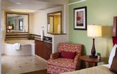 Туры в отель Hilton Grand Vacations Suites at the Flamingo