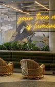 Туры в отель The Rockefeller Hotel by NEWMARK