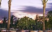 Туры в отель Hilton Grand Vacations Club
