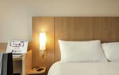 Туры в отель ibis Paris Coeur d'Orly Airport