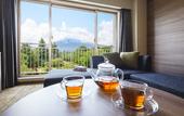 Туры в отель Fuji View Hotel