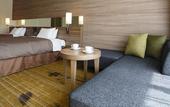 Туры в отель Fuji View Hotel