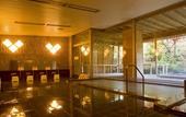 Туры в отель Fuji View Hotel