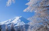 Туры в отель Fuji View Hotel