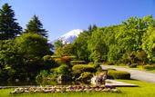 Туры в отель Fuji View Hotel