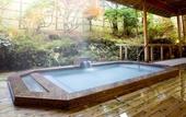 Туры в отель Fuji View Hotel