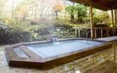 Туры в отель Fuji View Hotel