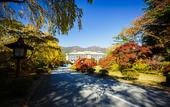 Туры в отель Fuji View Hotel