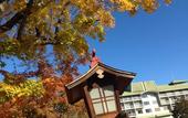 Туры в отель Fuji View Hotel