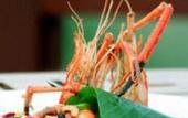 Туры в отель Go to Phuket to See the Lotus Flowers