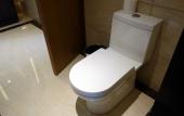 Туры в отель Manhattan Hotel (Shanghai Minhang)