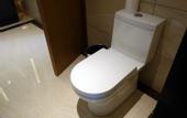 Туры в отель Manhattan Hotel (Shanghai Minhang)