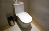 Туры в отель Manhattan Hotel (Shanghai Minhang)